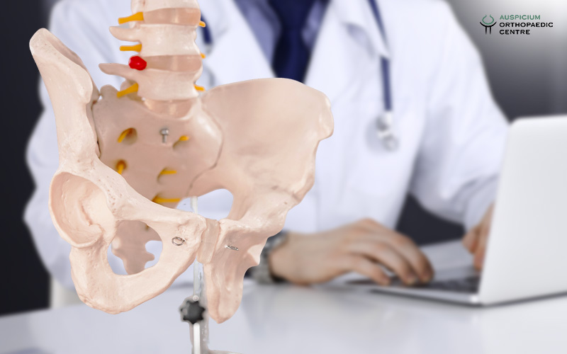 Doctor with a skeletal model of a bone.