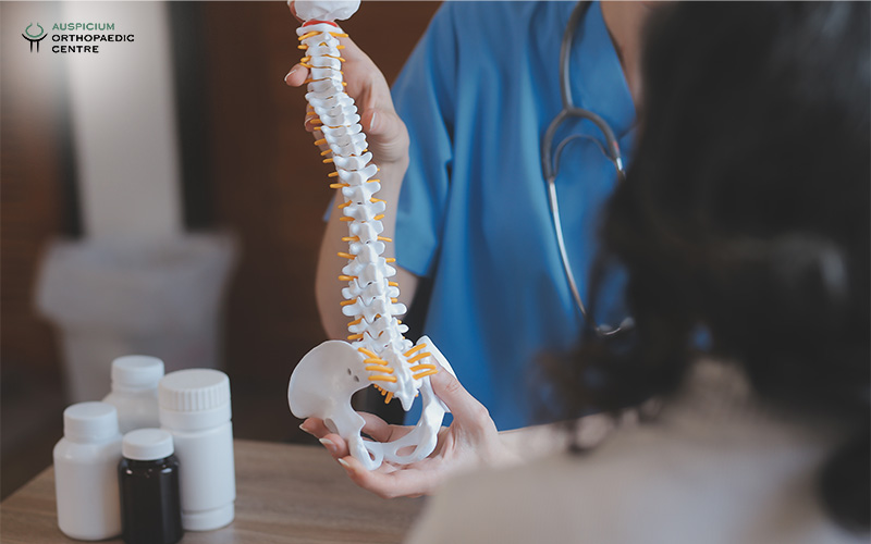 Medical professional in blue scrubs showing a spine model with nerves during a consultation in a clinic.
